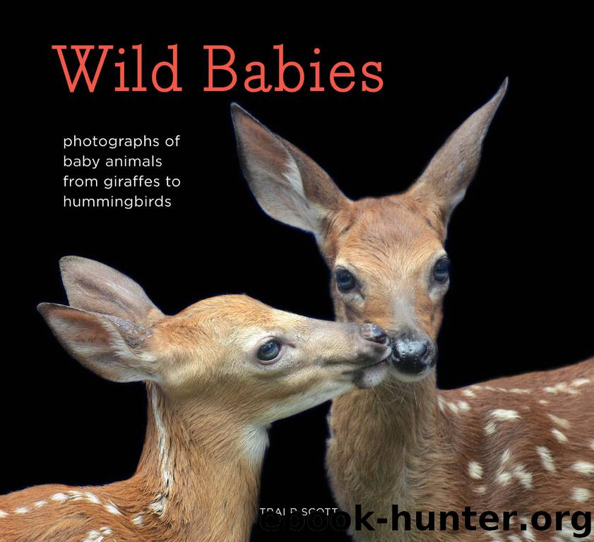 Wild Babies by Traer Scott
