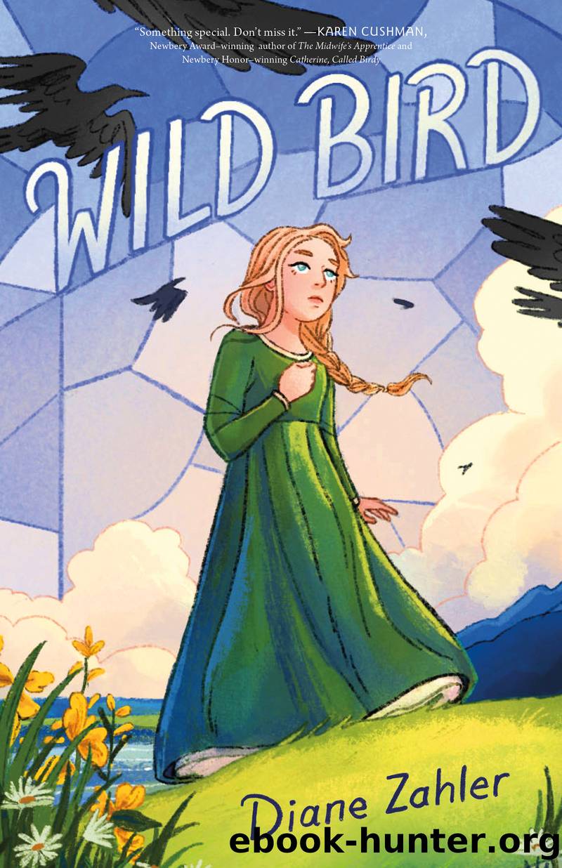Wild Bird by Diane Zahler