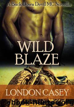 Wild Blaze by London Casey & Karolyn James