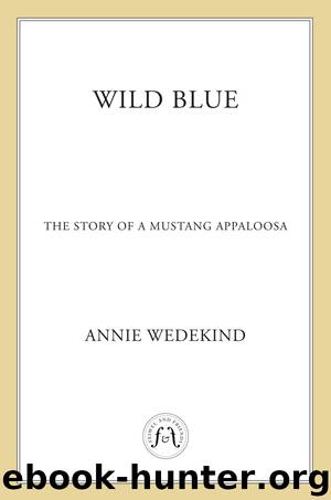 Wild Blue - The Story of a Mustang Appaloosa by Annie Wedekind