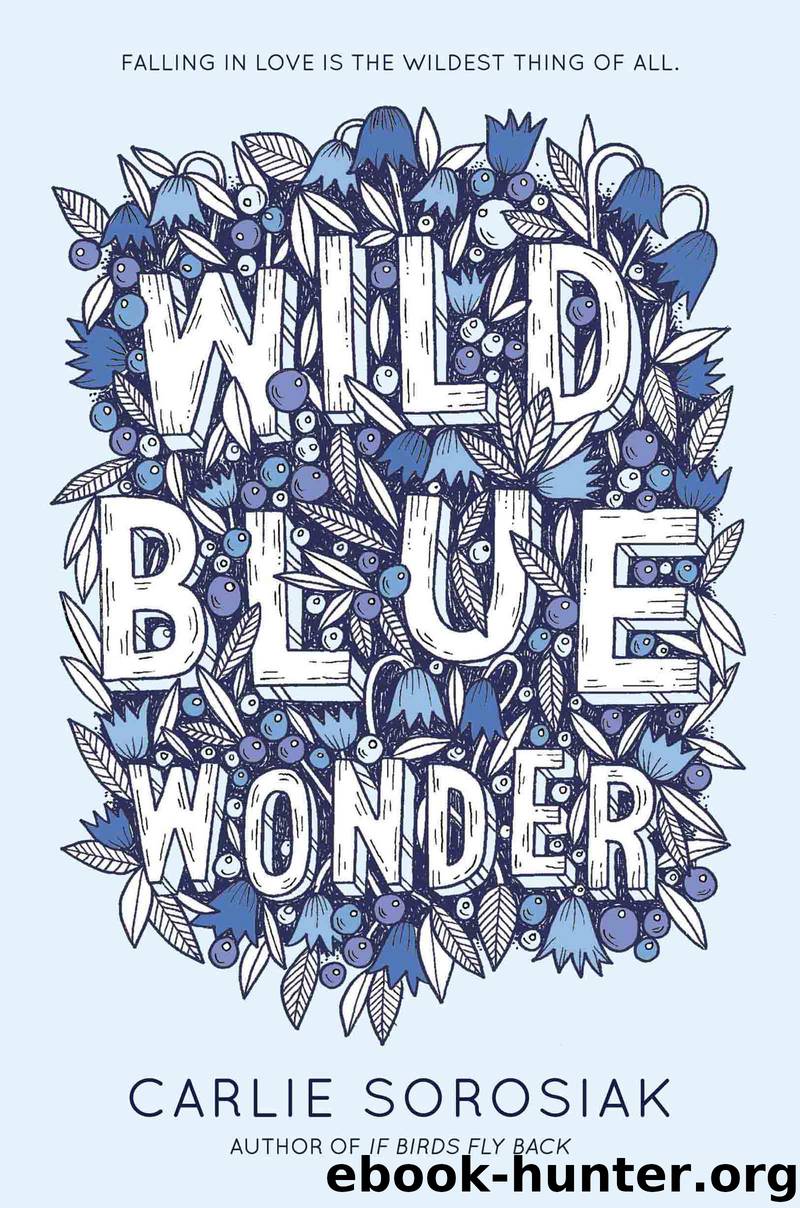 Wild Blue Wonder by Carlie Sorosiak