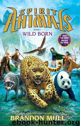 Wild Born by Brandon Mull