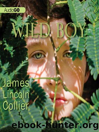Wild Boy by James Lincoln Collier