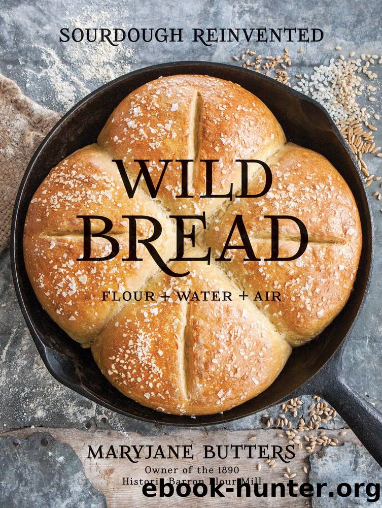 Wild Bread: Sourdough Reinvented by MaryJane Butters