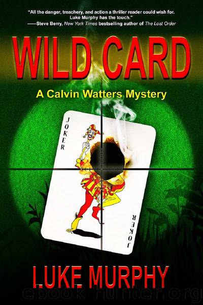 Wild Card by Luke Murphy