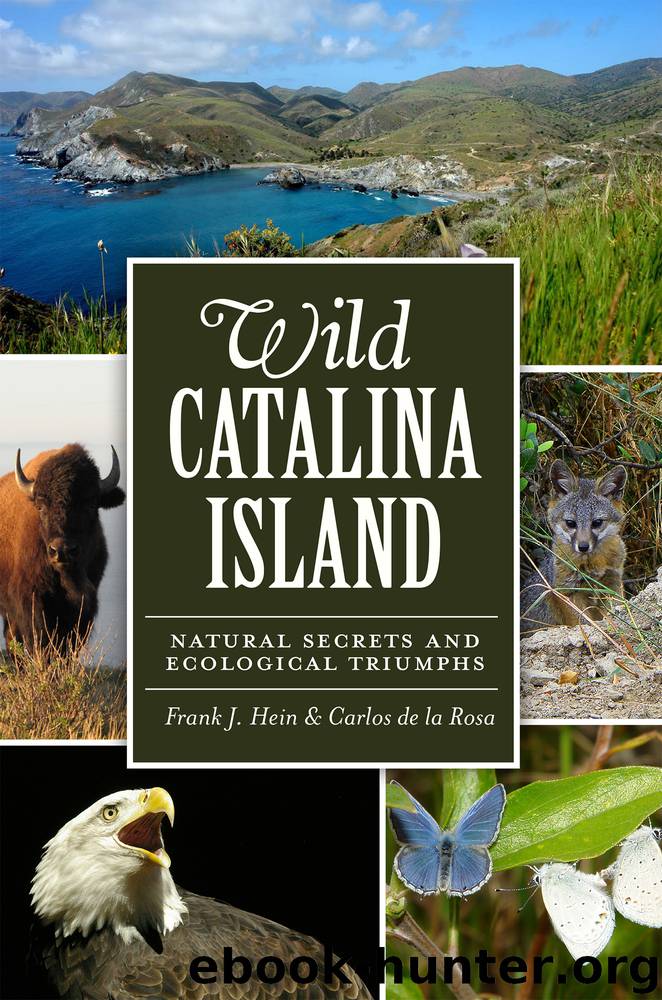 Wild Catalina Island by Carlos de la Rosa Frank Hein