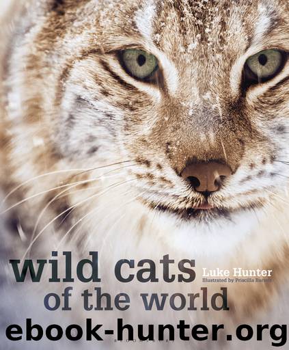 Wild Cats of the World by Luke Hunter