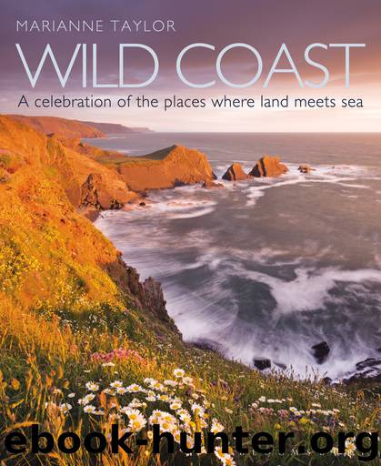 Wild Coast by Marianne Taylor