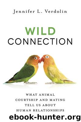 Wild Connection by Jennifer L. Verdolin