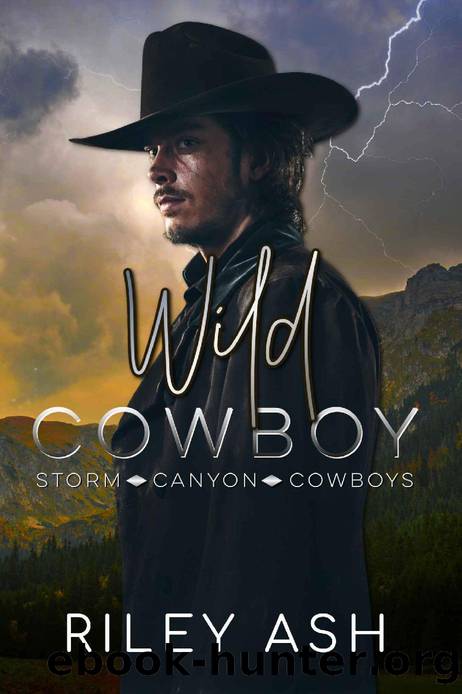 Wild Cowboy: A Secret Baby Romance (Storm Canyon Cowboys Book 3) by Riley Ash
