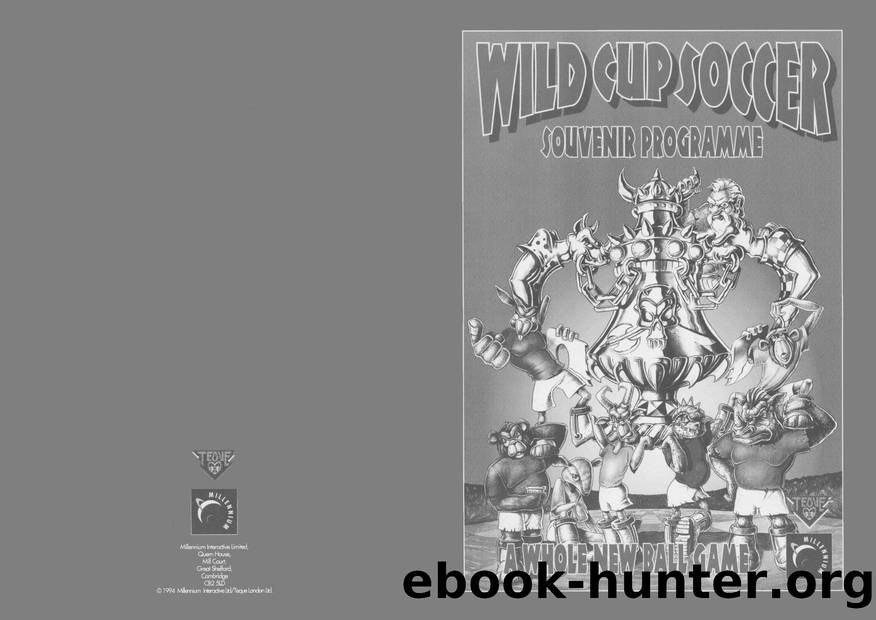 Wild Cup Soccer by Unknown