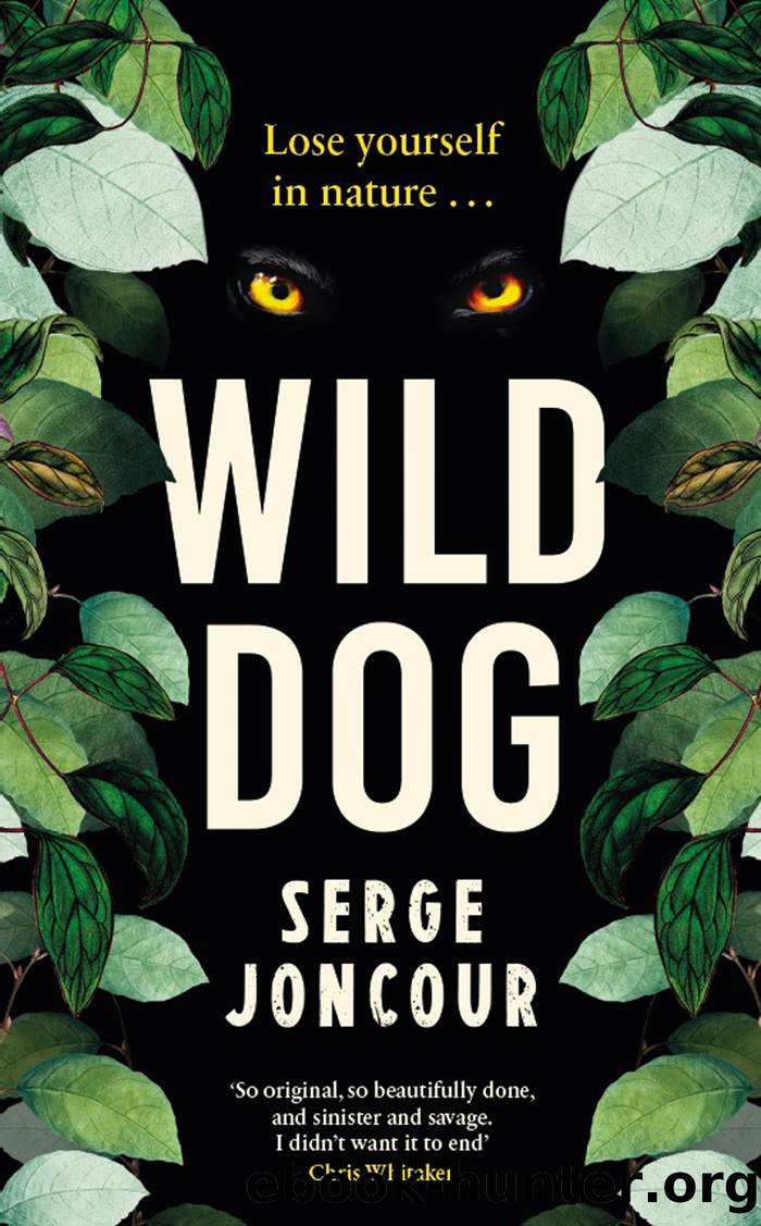 Wild Dog by Serge Joncour