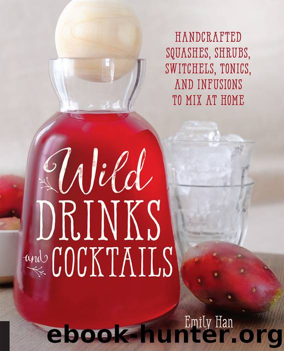 Wild Drinks & Cocktails by Emily Han