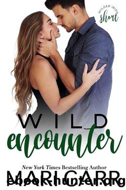 Wild Encounter: A Wilder Irish Short Story by Mari Carr