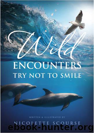 Wild Encounters by Nicolette Scourse