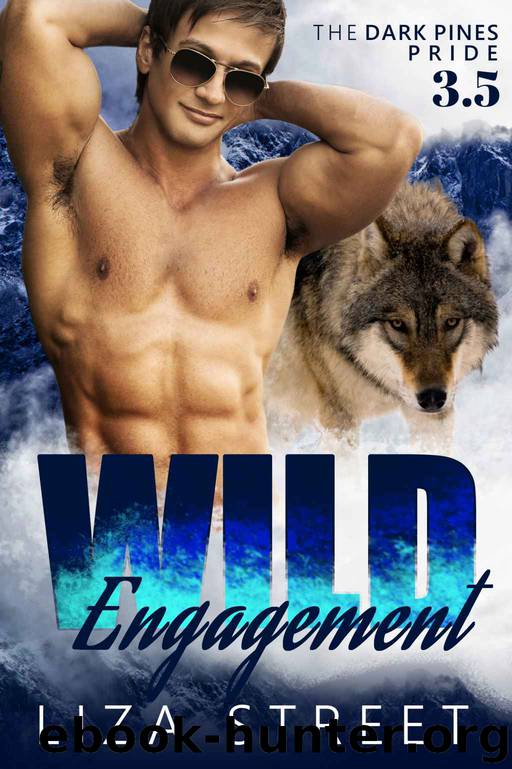 Wild Engagement: A Dark Pines Pride Bonus Story by Liza Street