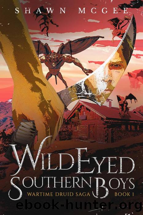 Wild Eyed Southern Boys by Shawn McGee