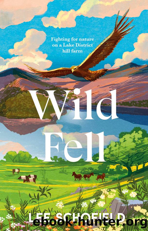 Wild Fell by Lee Schofield