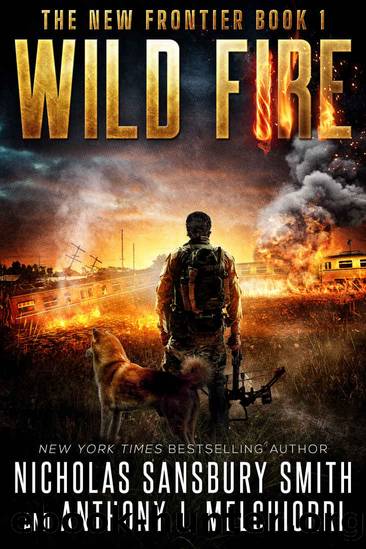 Wild Fire: The New Frontier Saga Book One by Smith Nicholas Sansbury & Melchiorri Anthony J