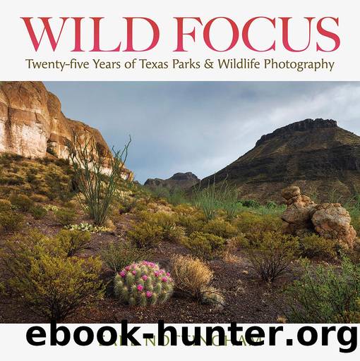 Wild Focus: Twenty-Five Years of Texas Parks and Wildlife Photography by Earl Nottingham