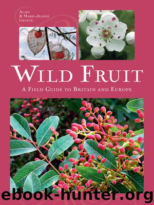 Wild Fruit by Alain Geneve