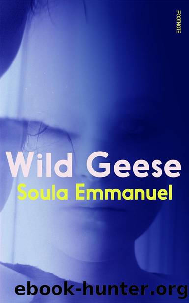 Wild Geese by Soula Emmanuel