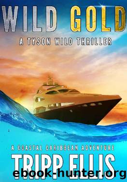 Wild Gold: A Coastal Caribbean Adventure (Tyson Wild Thriller Book 9) by Tripp Ellis