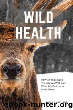 Wild Health: How animals keep themselves well and what we can learn from them by Cindy Engel