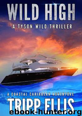 Wild High: A Coastal Caribbean Adventure (Tyson Wild Thriller Book 17) by Tripp Ellis