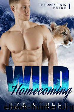 Wild Homecoming by Liza Street