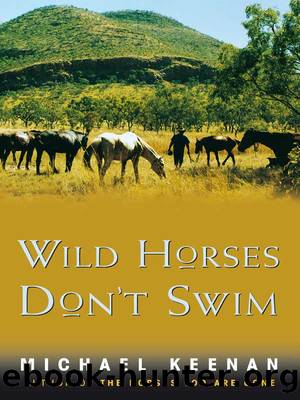 Wild Horses Don't Swim by Michael Keenan