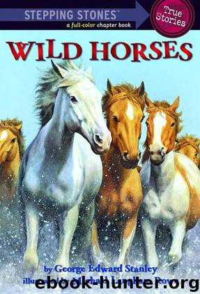 Wild Horses by George Edward Stanley