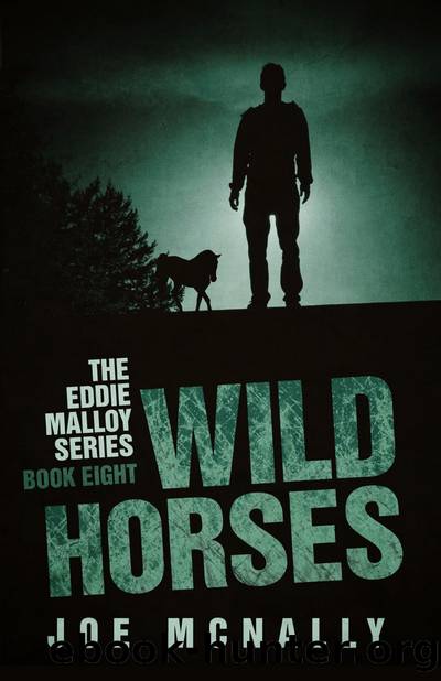 Wild Horses by Joe McNally