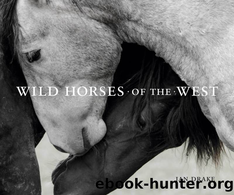 Wild Horses of the West by Jan Drake