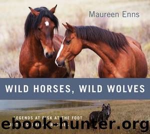Wild Horses, Wild Wolves by Maureen Enns