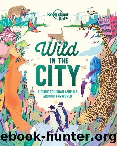 Wild In The City (Lonely Planet Kids) by Lonely Planet Kids & Kate Baker