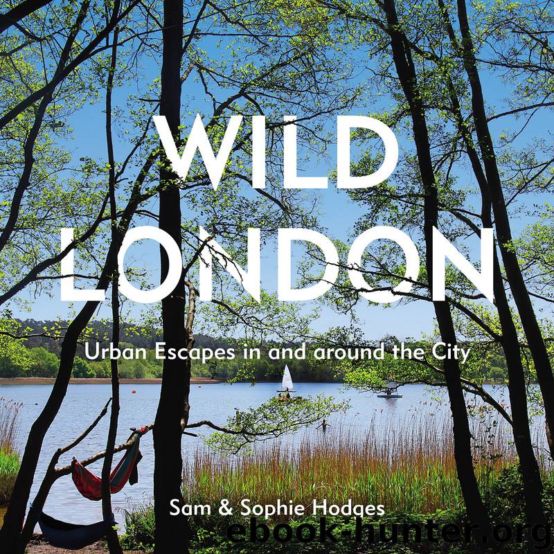 Wild London by Sam Hodges