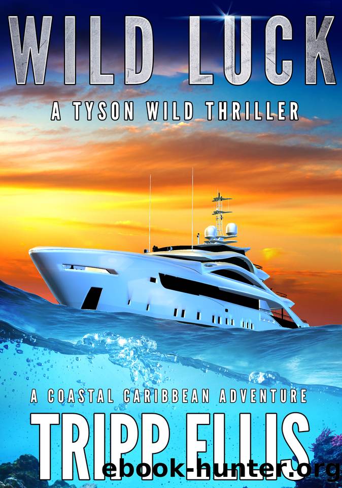 Wild Luck: A Coastal Caribbean Adventure (Tyson Wild Thriller Book 70) by Tripp Ellis