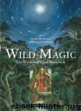 Wild Magic by Mark Ryan