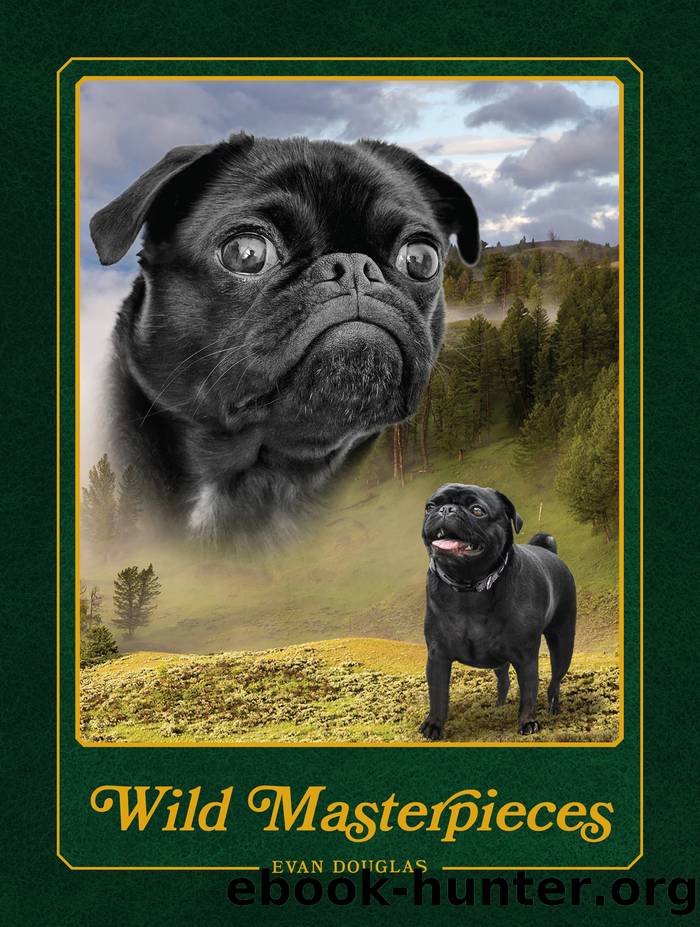 Wild Masterpieces by Evan Douglas