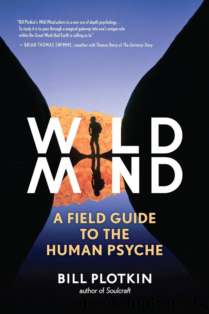 Wild Mind: A Field Guide to the Human Psyche by Bill Plotkin
