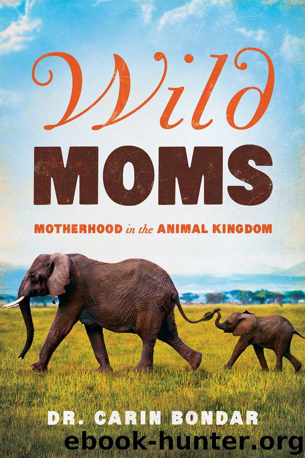 Wild Moms by Carin Bondar