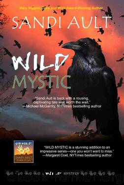Wild Mystic by Sandi Ault