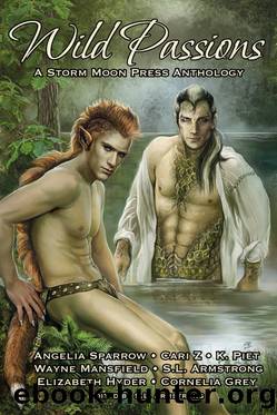 Wild Passions by SL Armstrong
