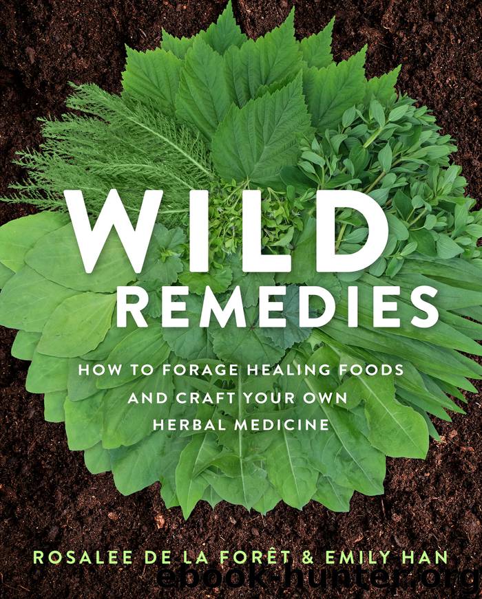 Wild Remedies by Rosalee de la Forêt & Emily Han