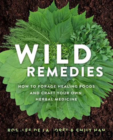 Wild Remedies by de la Forêt Rosalee & Han Emily