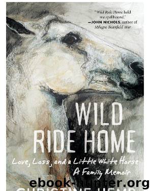 Wild Ride Home by Christine Hemp