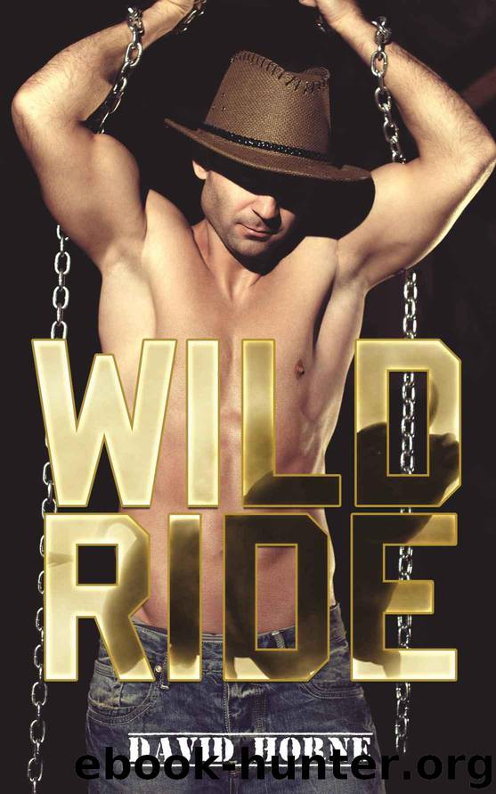 Wild Ride by Horne David