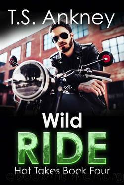Wild Ride: A Steamy MM Romance Novella (Hot Takes Book 4) by T.S. Ankney