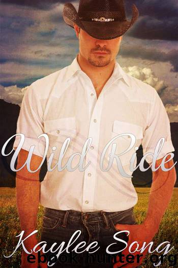 Wild Ride: BBW Western Romance (Under Open Skies Saga Book 2) by Kaylee Song
